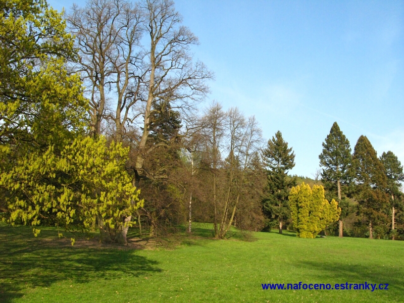 Cechy_pod_Kosirem_2011_04_19_006