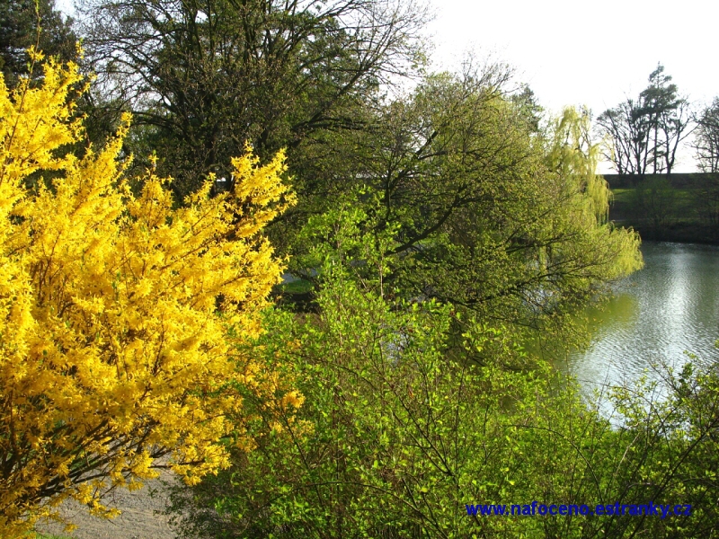 Cechy_pod_Kosirem_2011_04_19_011