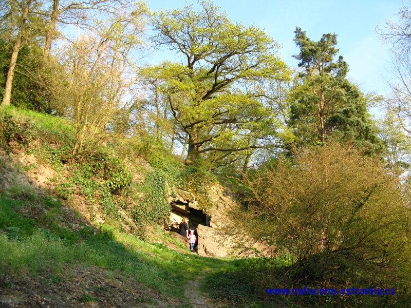 Cechy_pod_Kosirem_2011_04_19_015