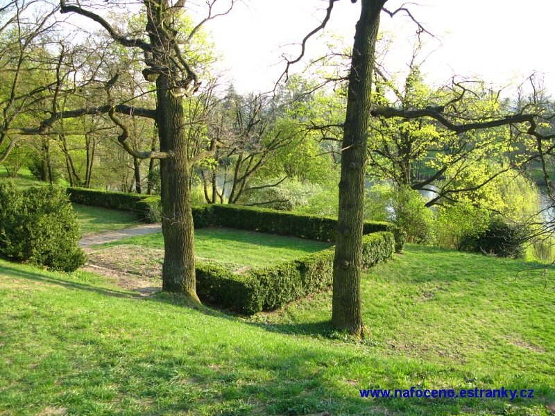 Cechy_pod_Kosirem_2011_04_19_017
