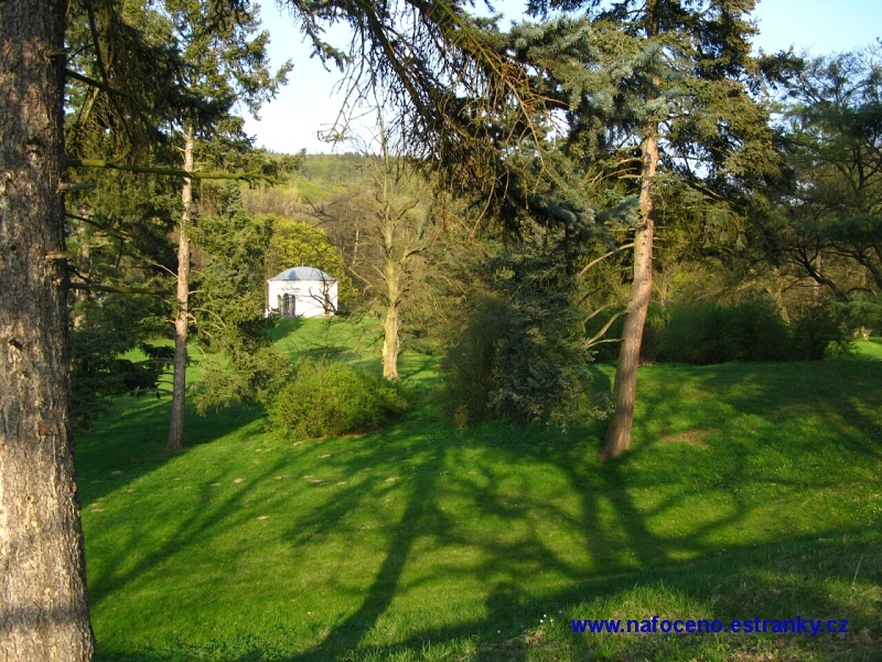 Cechy_pod_Kosirem_2011_04_19_018