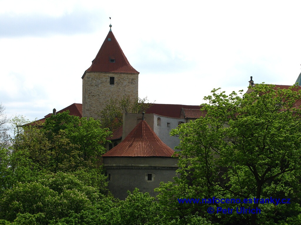 IMG_5587